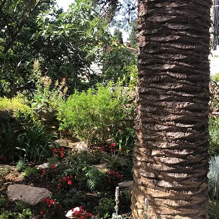 Apartments Veli Losinj Veli Lošinj