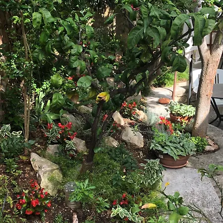 Apartments Veli Losinj Veli Lošinj