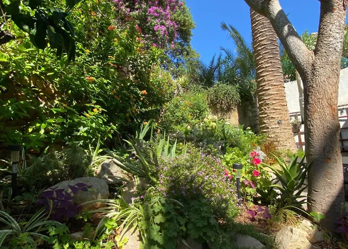 Apartments Veli Losinj *