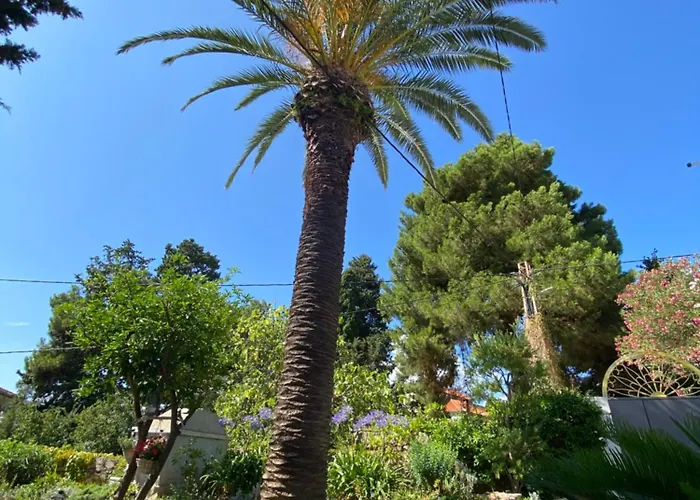 Apartments Veli Losinj