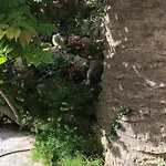 Apartments Veli Losinj Apartman Veli Lošinj