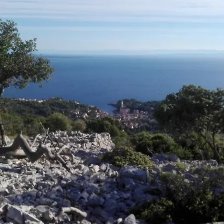 Apartments Veli Losinj *