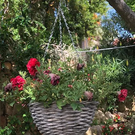 Apartments Veli Losinj Daire