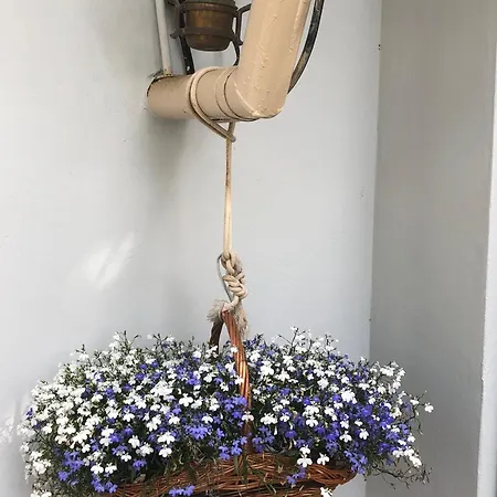 Apartments Veli Losinj Daire Veli Lošinj