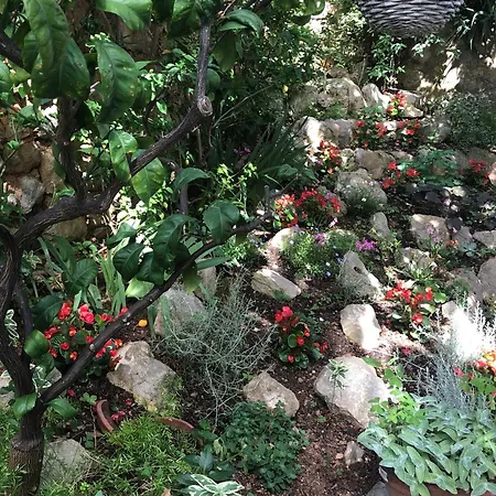 Apartments Veli Losinj Daire Veli Lošinj