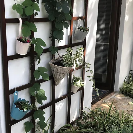 Daire Apartments Veli Losinj Veli Lošinj