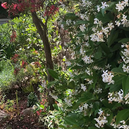 Apartments Veli Losinj Daire