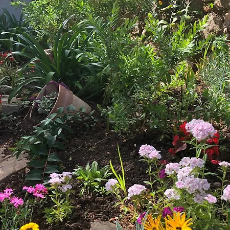 Apartments Veli Losinj *