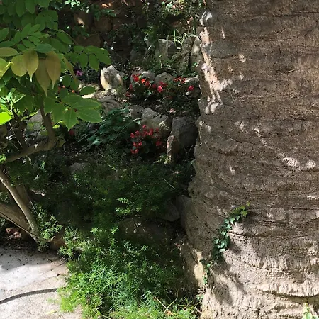 Apartments Veli Losinj Daire Veli Lošinj