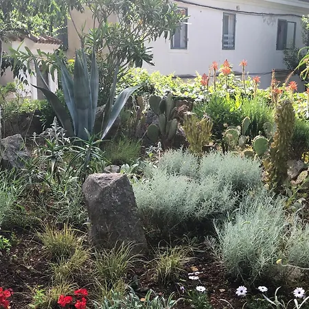 Apartments Veli Losinj Daire *