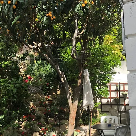 Daire Apartments Veli Losinj Veli Lošinj