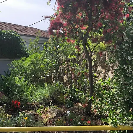 Daire Apartments Veli Losinj