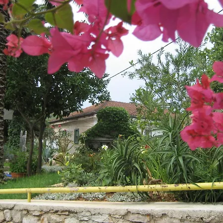 Apartments Veli Losinj