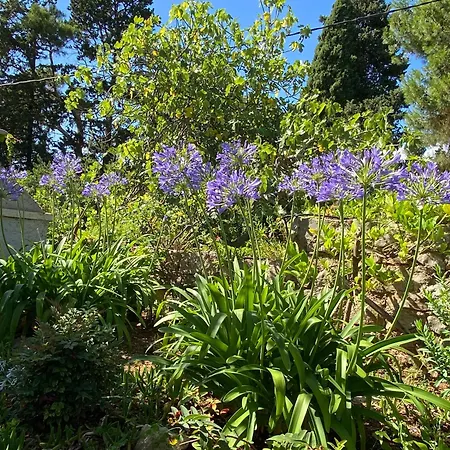 Apartments Veli Losinj Veli Lošinj