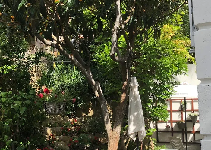 Apartment Apartments Veli Losinj Veli Lošinj